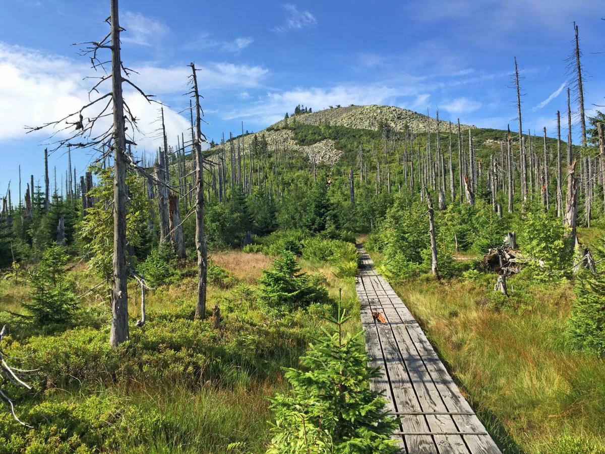 Ferienwohnung Fernblick Neukirchen vorm Wald Екстериор снимка